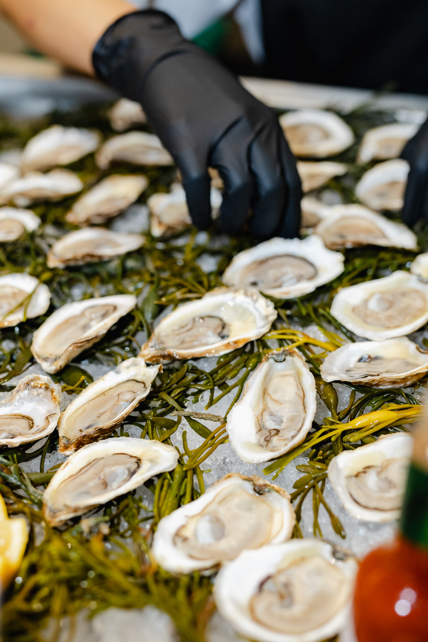 A person is carefully arranging oysters on a tray during a conference.