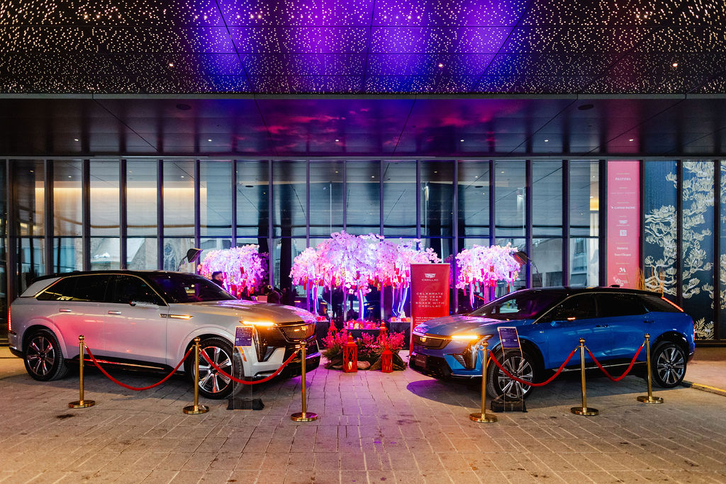 Two luxury cars, one silver and one blue, are displayed outdoors behind red ropes in front of illuminated pink artificial trees and a glass building entrance.
